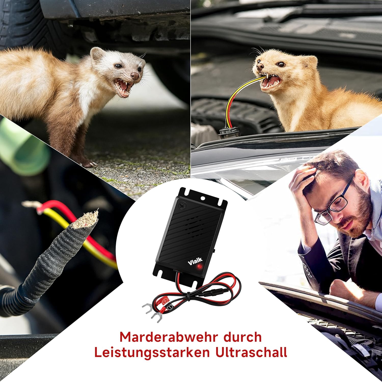 Marten Deterrent Car with Ultrasound, Direct Connection to 12 V Car Battery, Marten Repellent & Marten Protection for Car, Engine Compartment, Effective Mader Deterrent for Repelling Marten