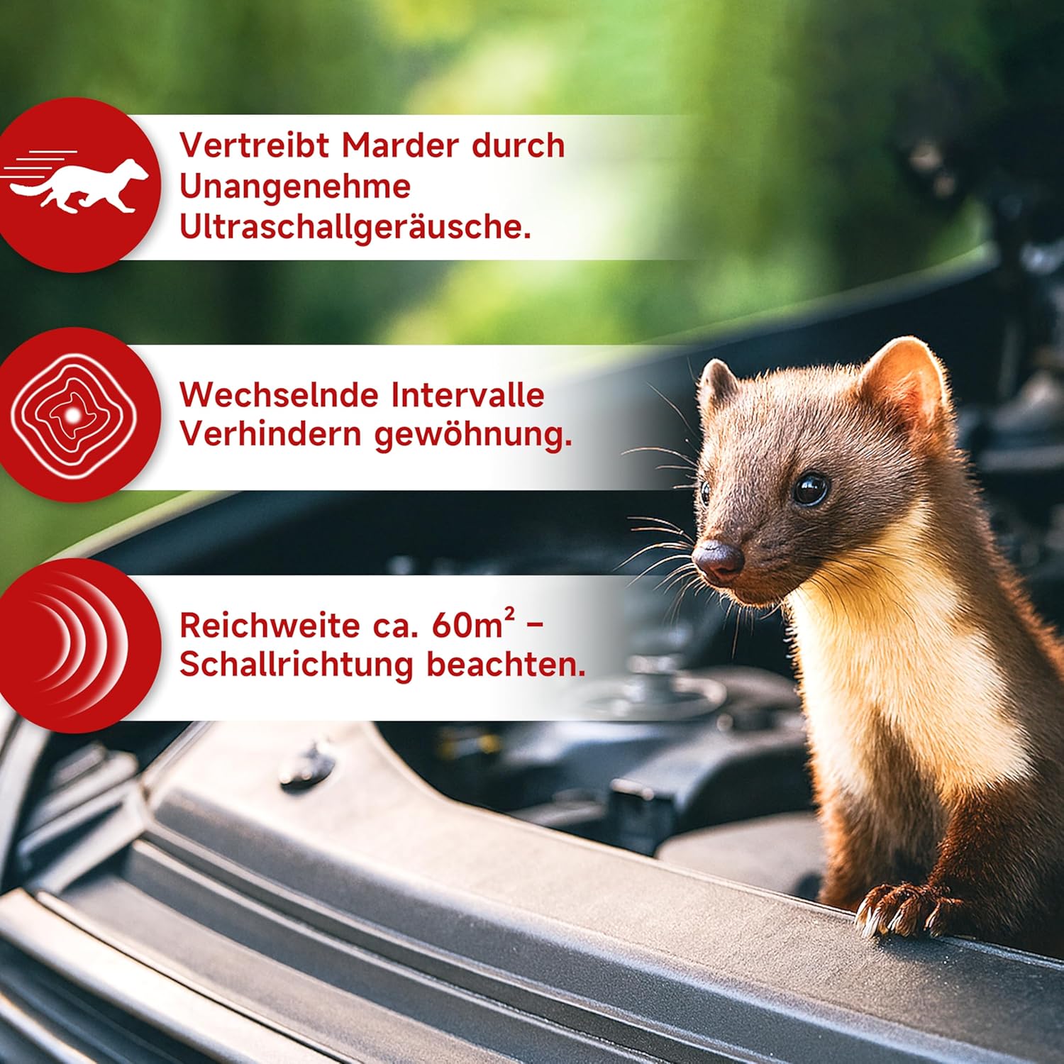 Marten Deterrent Car with Ultrasound, Direct Connection to 12 V Car Battery, Marten Repellent & Marten Protection for Car, Engine Compartment, Effective Mader Deterrent for Repelling Marten
